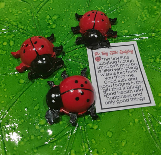 Mini Lady Bugs - Set of 3