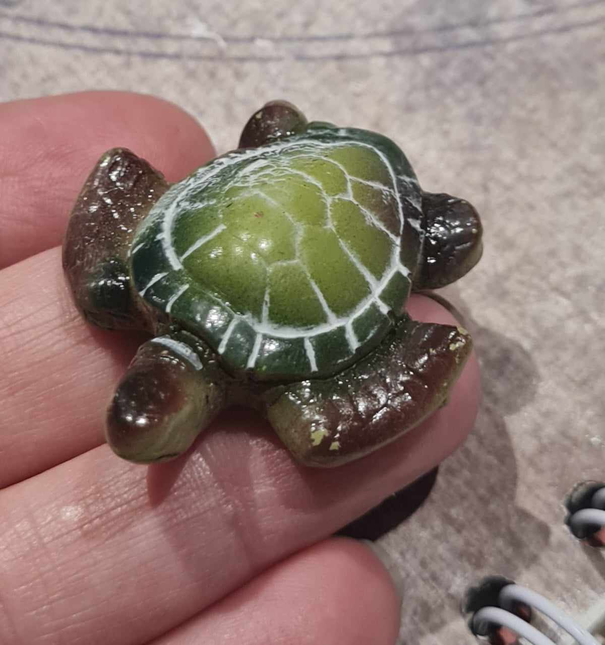 Mini Sea Turtle