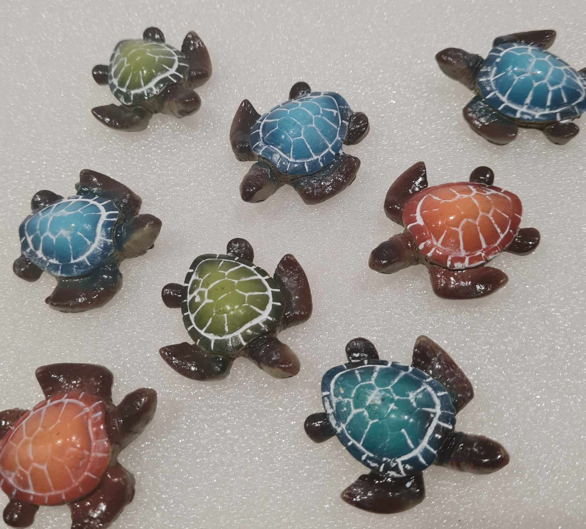 Mini Sea Turtle