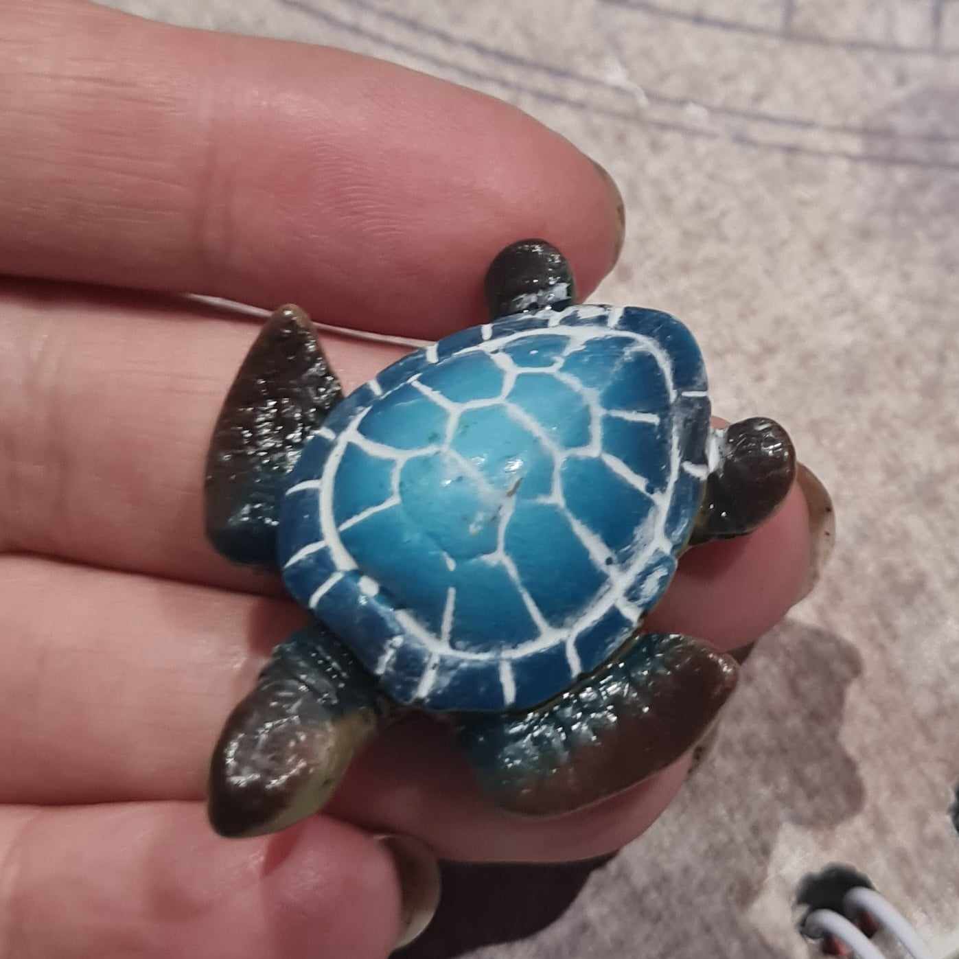 Mini Sea Turtle