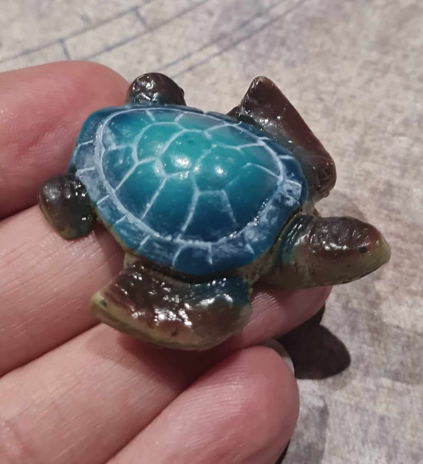 Mini Sea Turtle