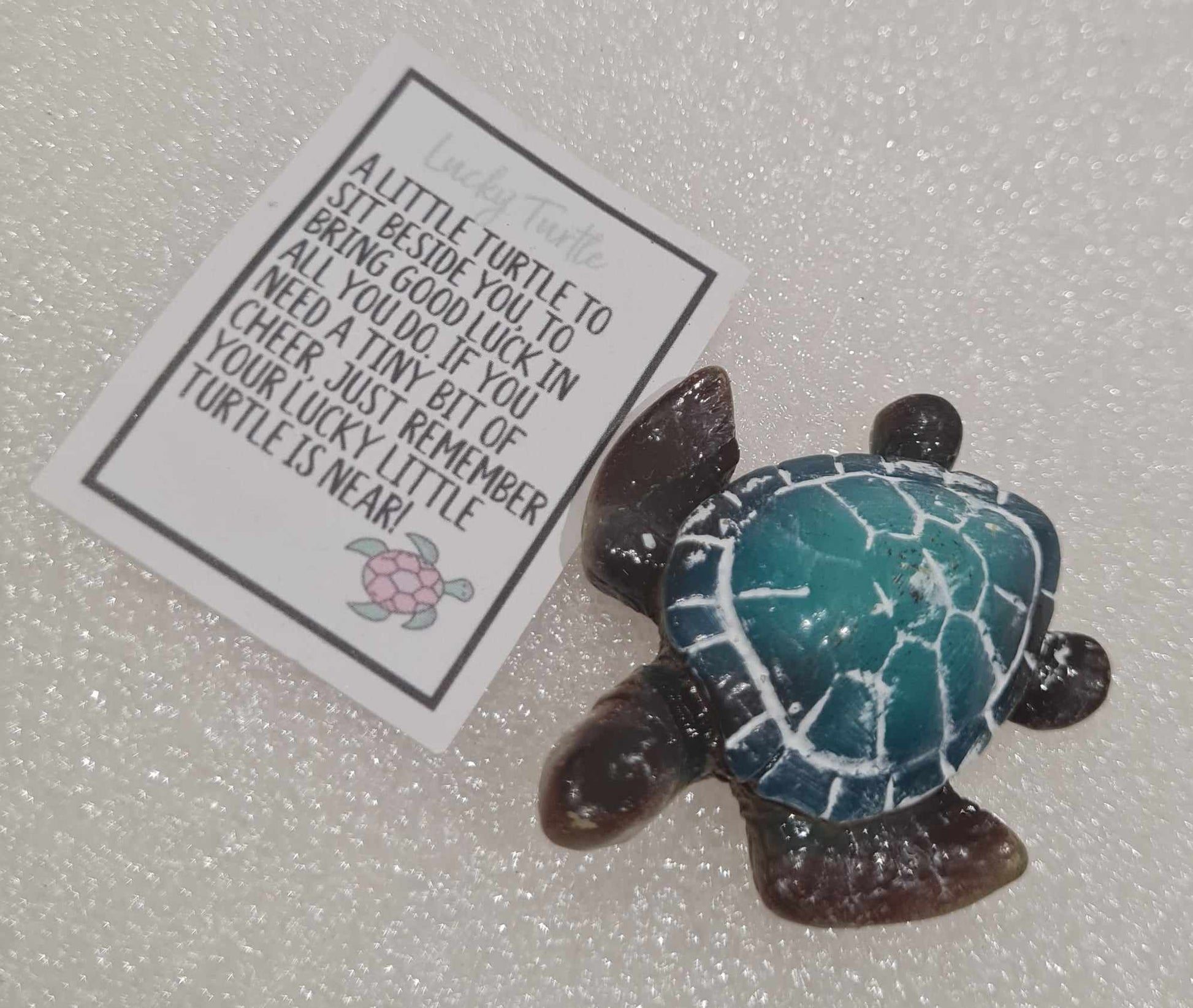 Mini Sea Turtle