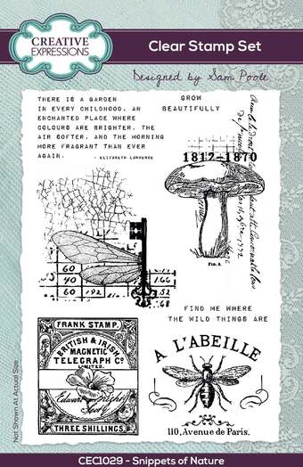 Creative Expressions Clear Stamp Set - Snippets Of Nature