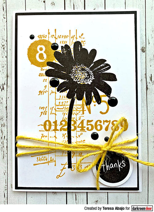 Rubber Stamp - Darkroom Door - Eclectic Stamp - Daisy