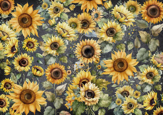 Decoupage Queen Rice Paper - A4 Sheet -Field Of Sunflowers