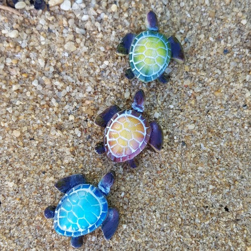 Mini Sea Turtle