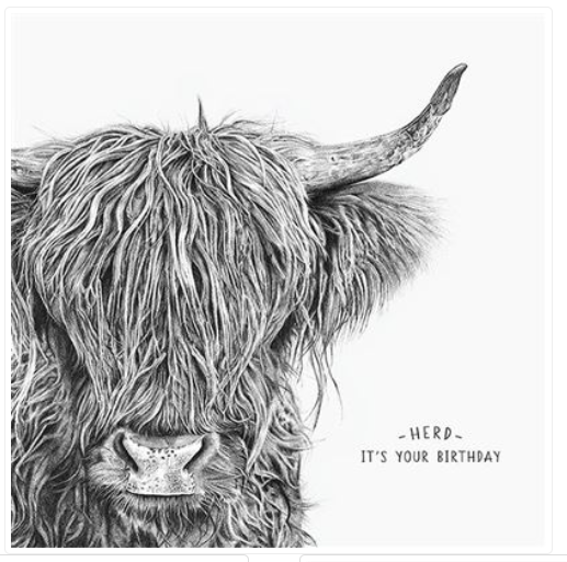 Henderson's Greeting Cards - Shaggy Cow