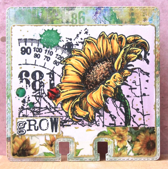 AALL & CREATE - A6 Stamps -Sunny Splash #1250